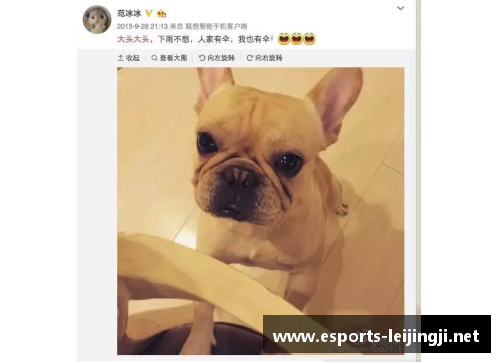 体育明星宠物狗的独特名字：明星们的爱犬如何命名揭秘